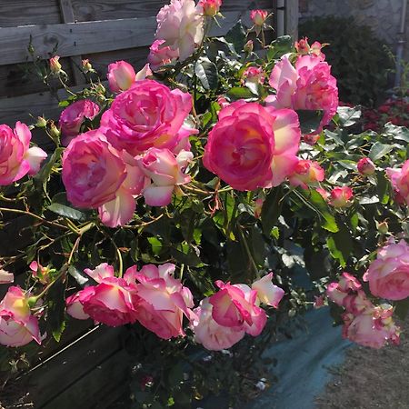 Les Hortensias Grand-Fougeray Ngoại thất bức ảnh
